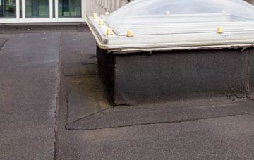 disadvantages of The Shoe flat roofs