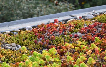 the cost of The Shoe green roof installation