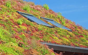 The Shoe living roof systems
