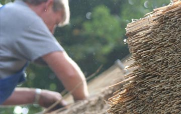 professional The Shoe thatchers